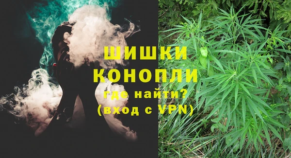 дживик Бронницы