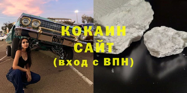 дживик Бронницы