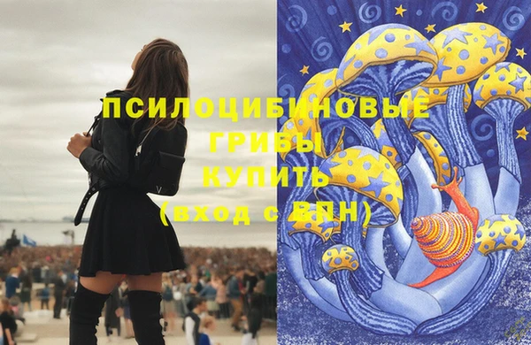 дживик Бронницы