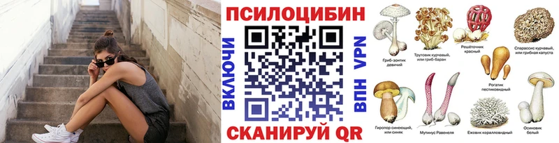Галлюциногенные грибы Psilocybine cubensis  купить   Надым 