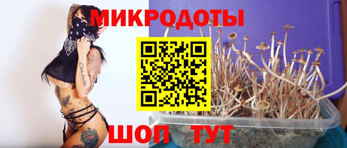 Галлюциногенные грибы мицелий Надым
